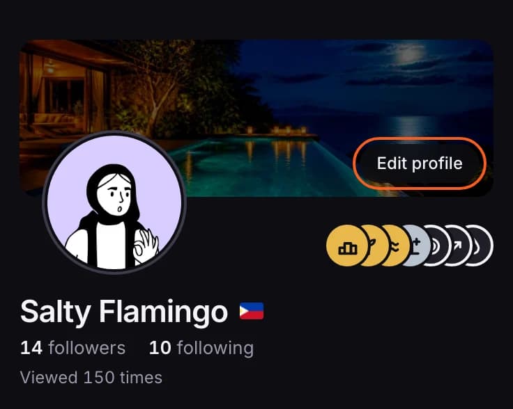 The top of a profile: banner, photo, badges, name, followers and views, with Edit profile outlined