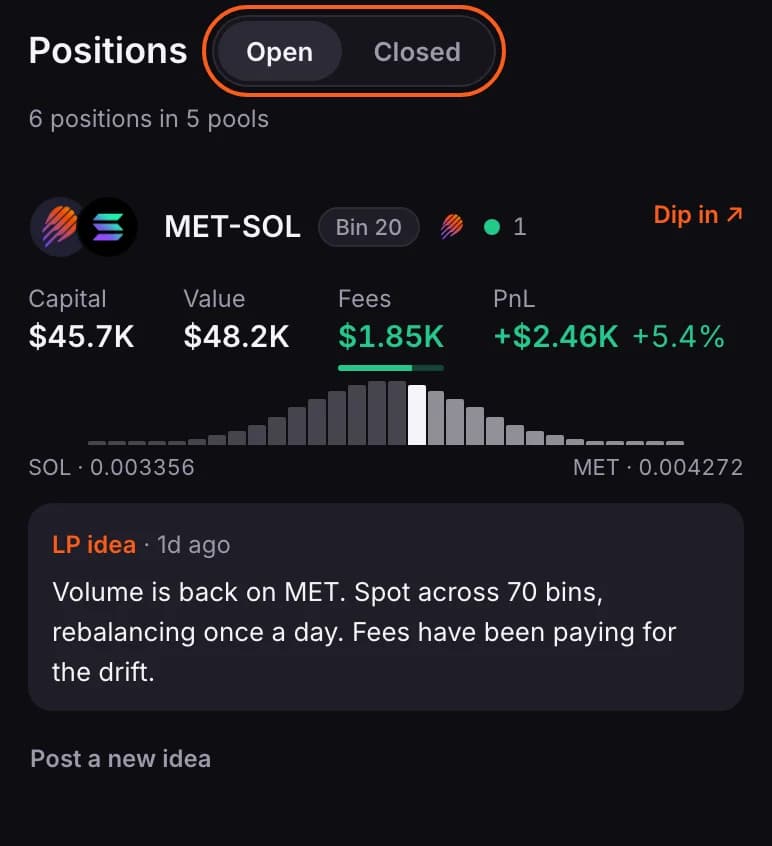 The Positions heading with the Open and Closed switch outlined, and an open position under it: capital, value, fees, PnL and the liquidity shape